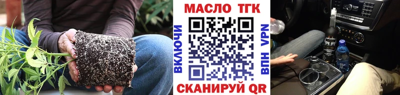 Купить где  Ершов  Дистиллят ТГК гашишное масло 