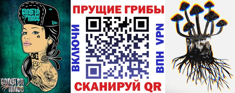 Купить  Ершов  Псилоцибиновые грибы Psilocybine cubensis 